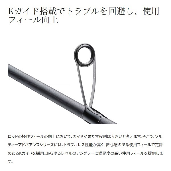 25  SALTY ADVANCE シーバス/サーフ